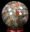 Colorful Petrified Wood Sphere #36964-1